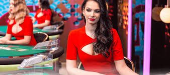 mariatogel